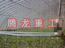 大棚花卉供暖設(shè)備、大棚卉采暖設(shè)備、大棚花卉取暖設(shè)備